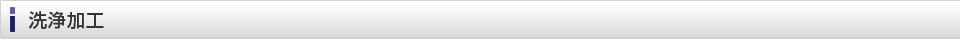 洗浄加工